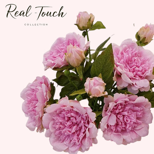 25.5"- Real Touch Peony Stem - 2 Blooms