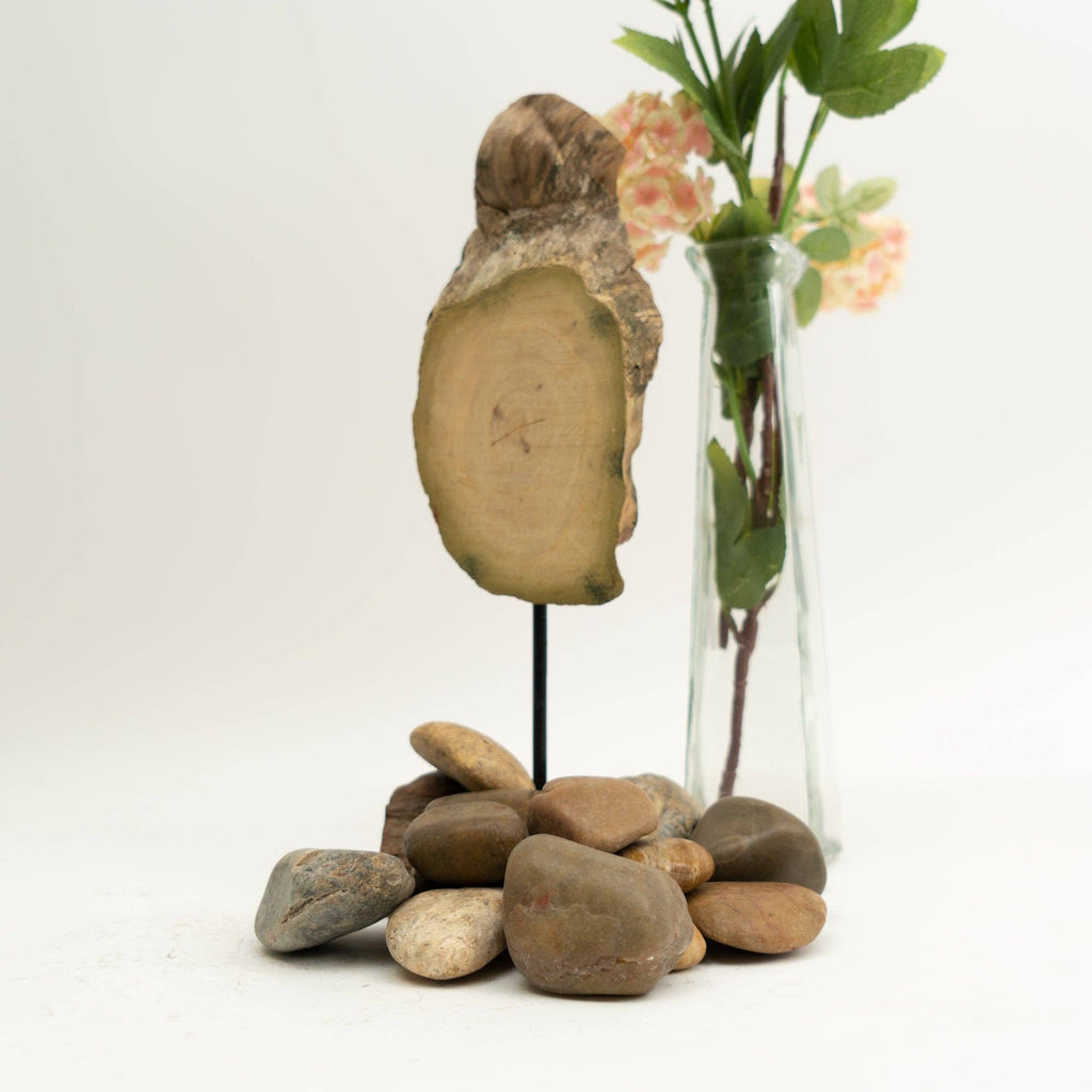 Large River Rocks - 2.2 LB. Bag