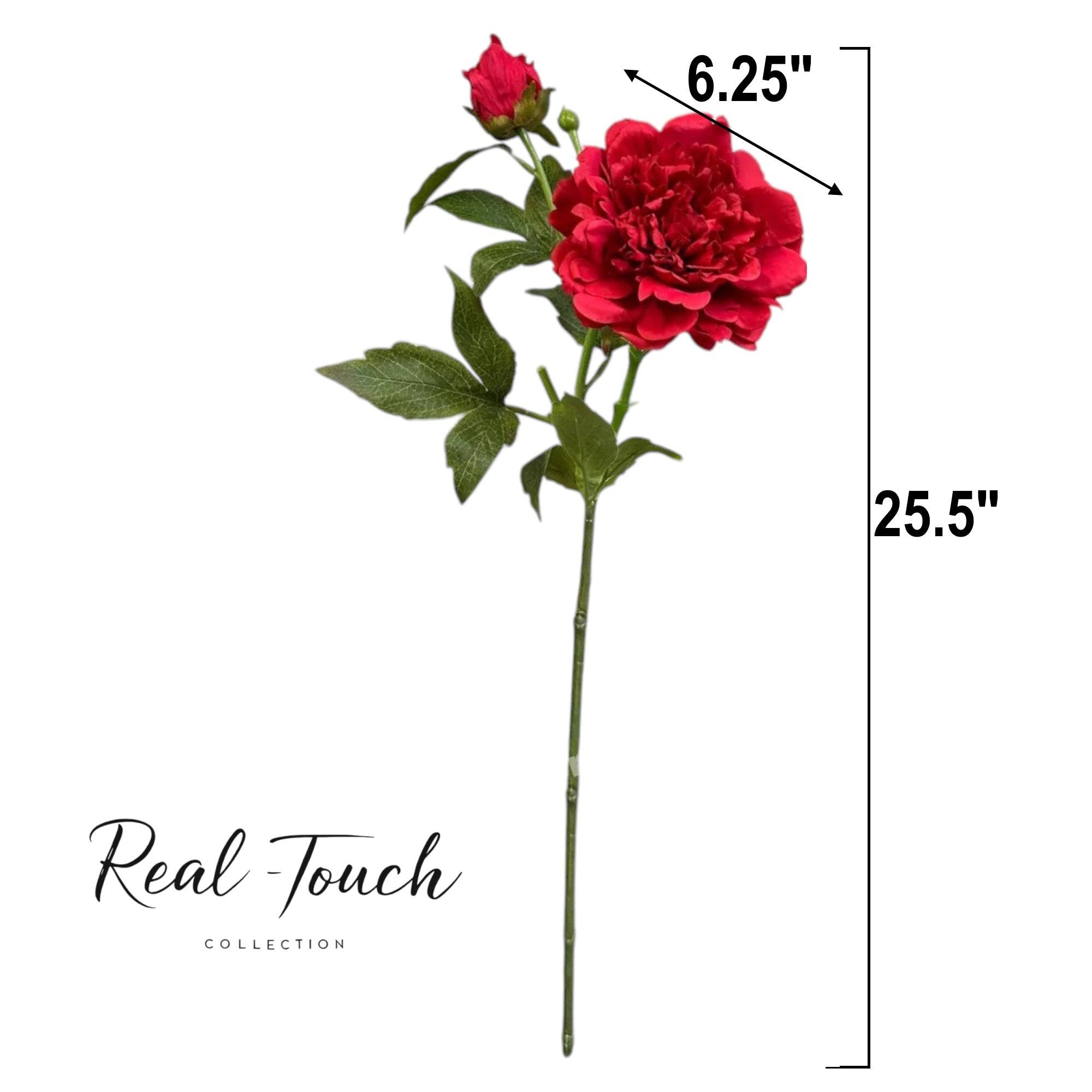 25.5"- Real Touch Peony Stem - 2 Blooms