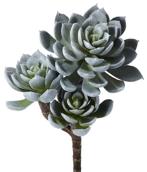 Triple Spoon Succulent Plant - 2 color options