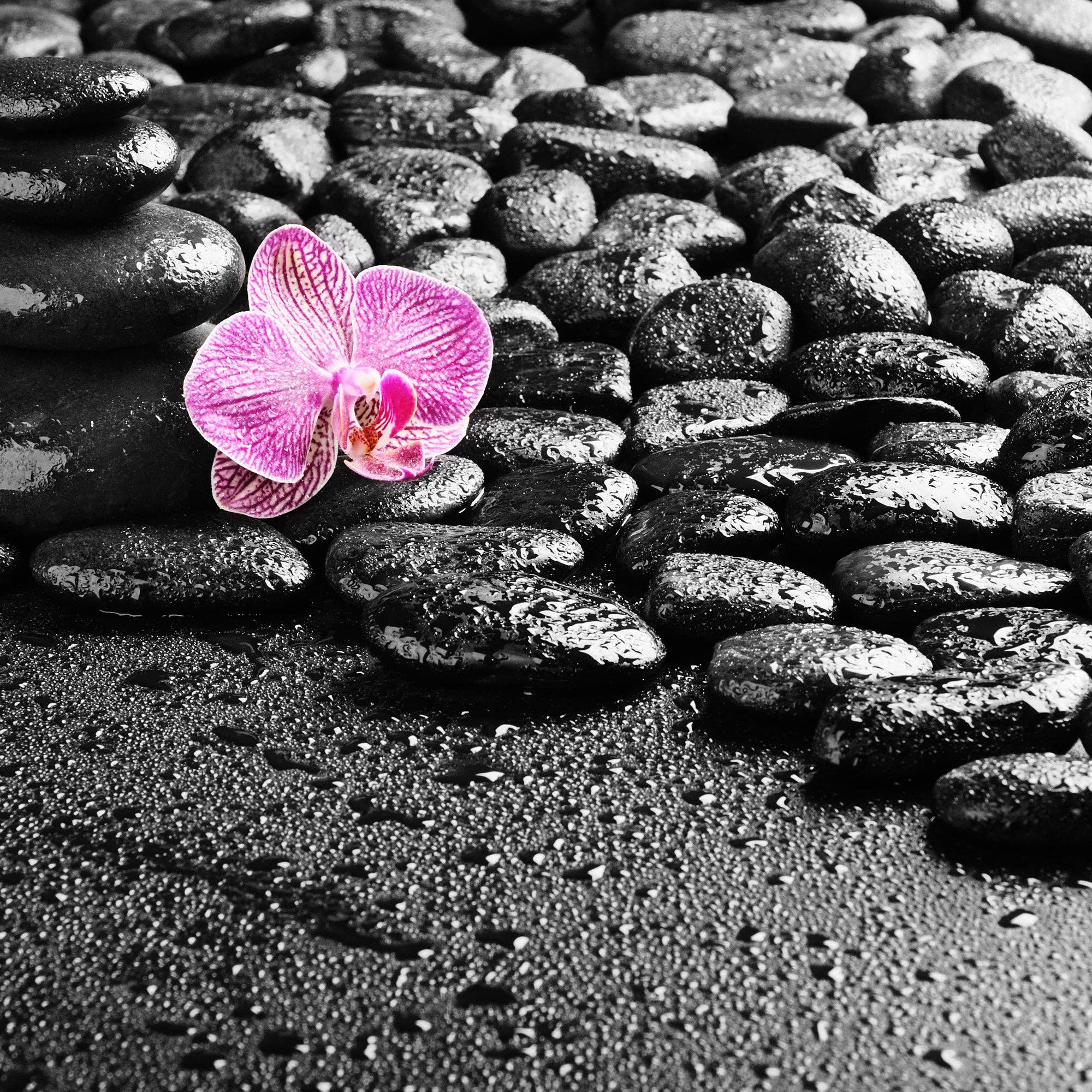 Black Pebbles - 2.2 LB. Bag
