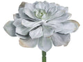 8"H x 14"D Echeveria Pick Gray Green