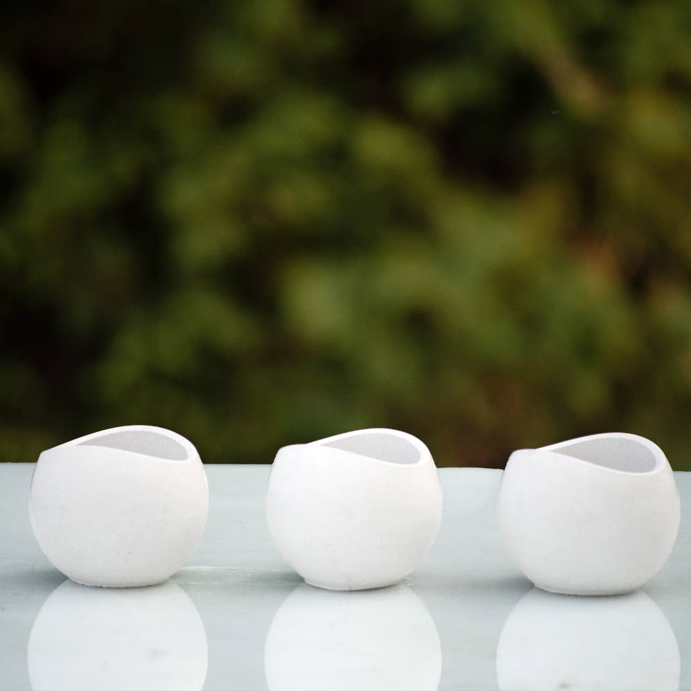 Succulent Mini Pot Curved Shaped