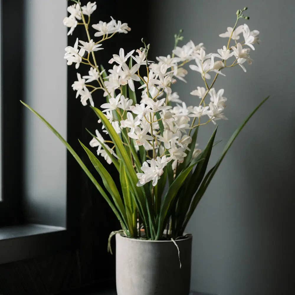 Faux Orchid Vanda Arrangement, Potted, White, 20.5 in