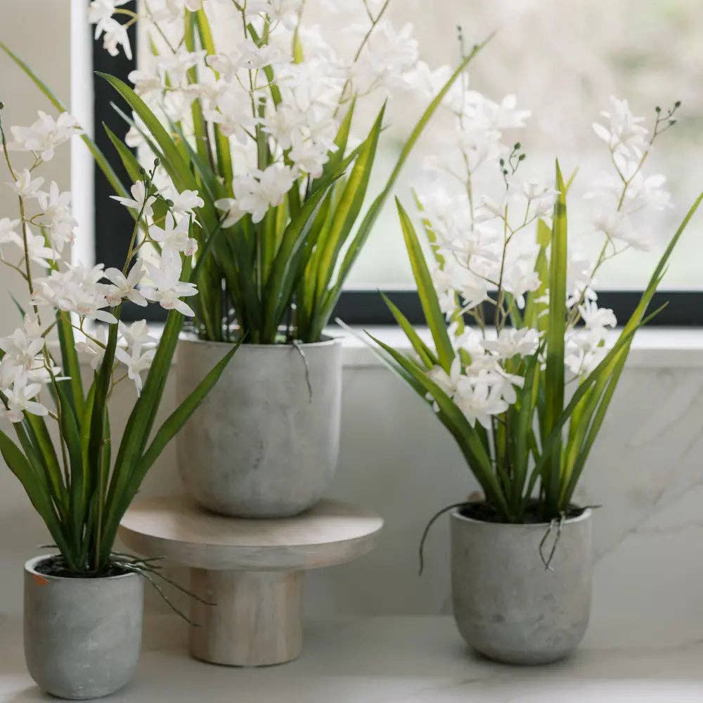 Faux Orchid Vanda Arrangement, Potted, White, 20.5 in