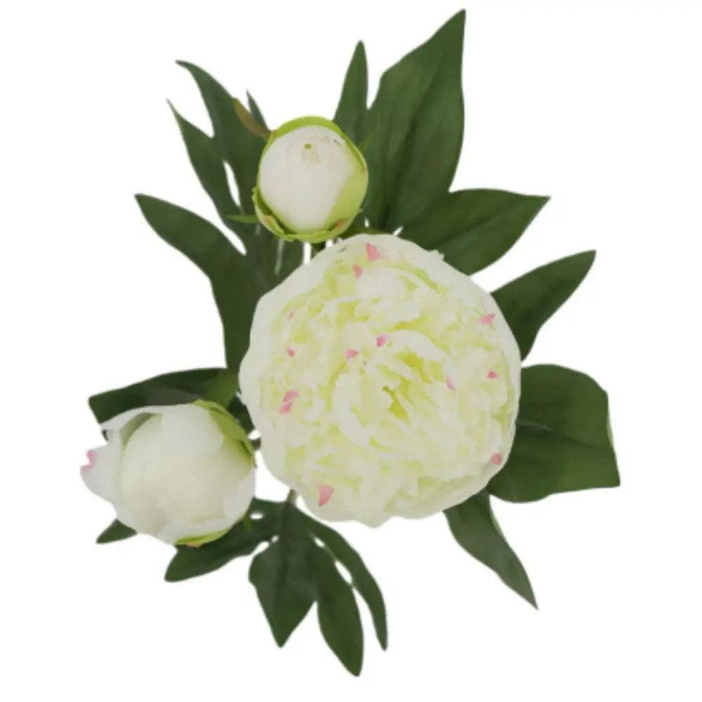 Faux Peony 5-Stem, Cream