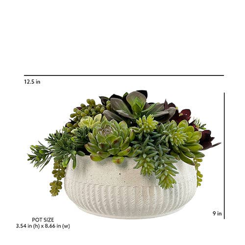 Faux Succulent Arrangement, Potted, Round Pot, White, 12 in