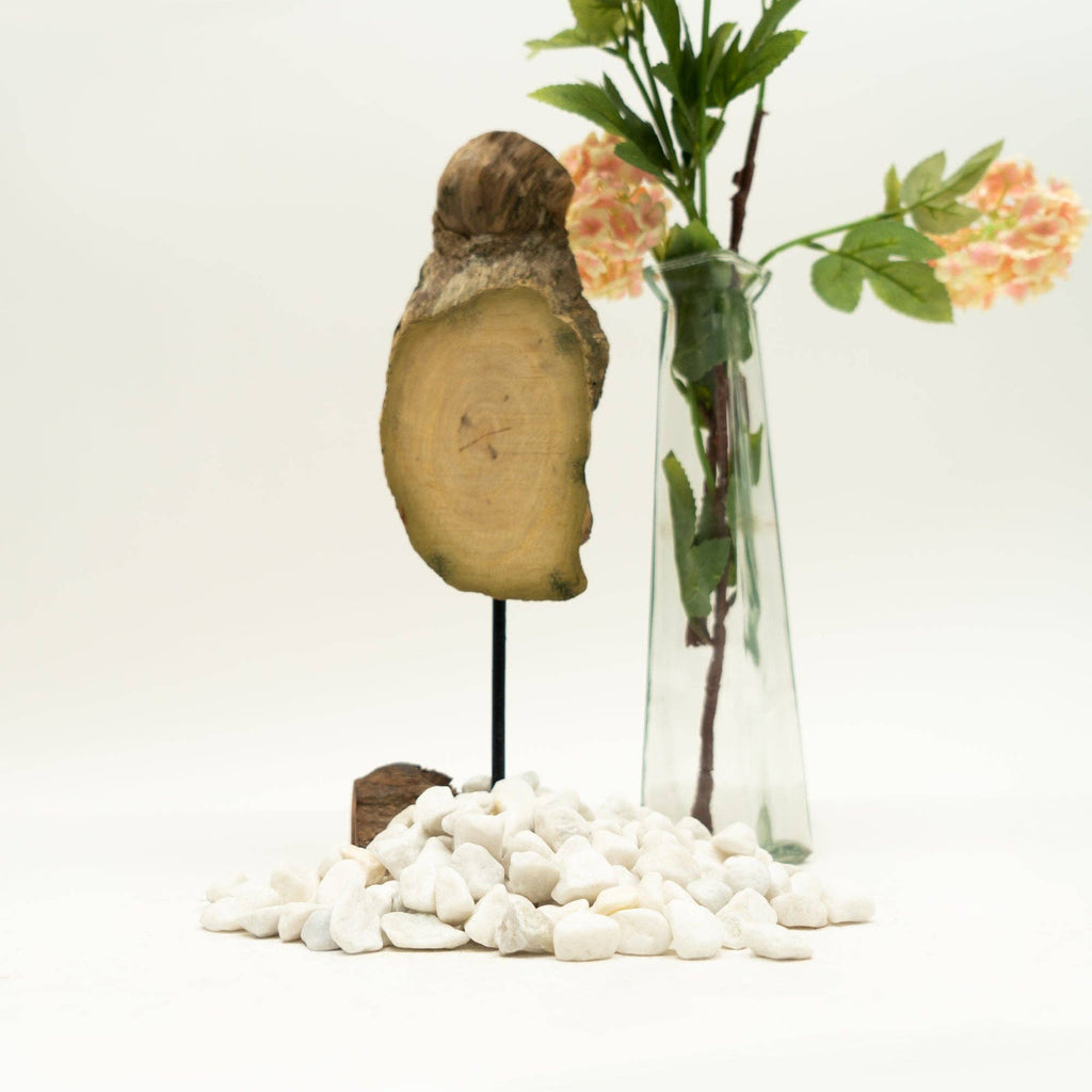 White Pebbles - 2.2 LB. Bag