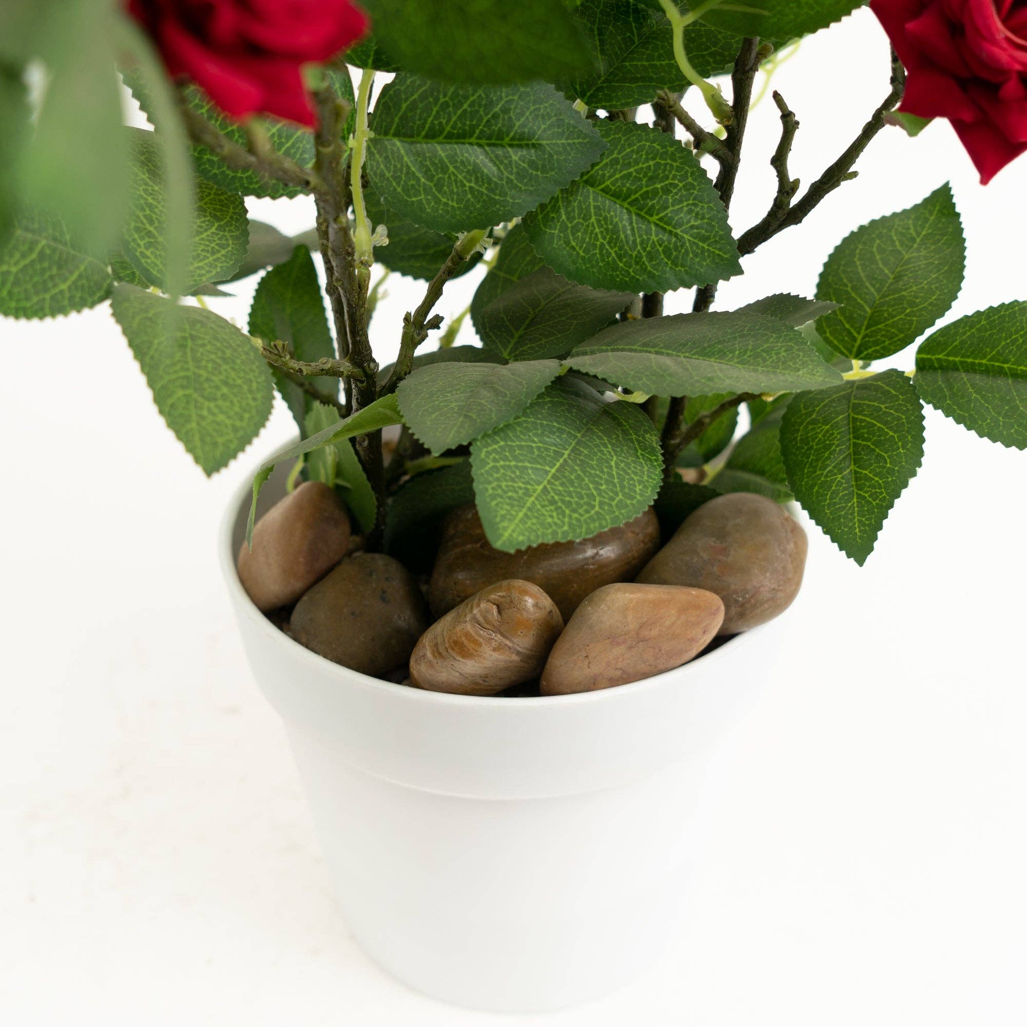 Large River Rocks - 2.2 LB. Bag