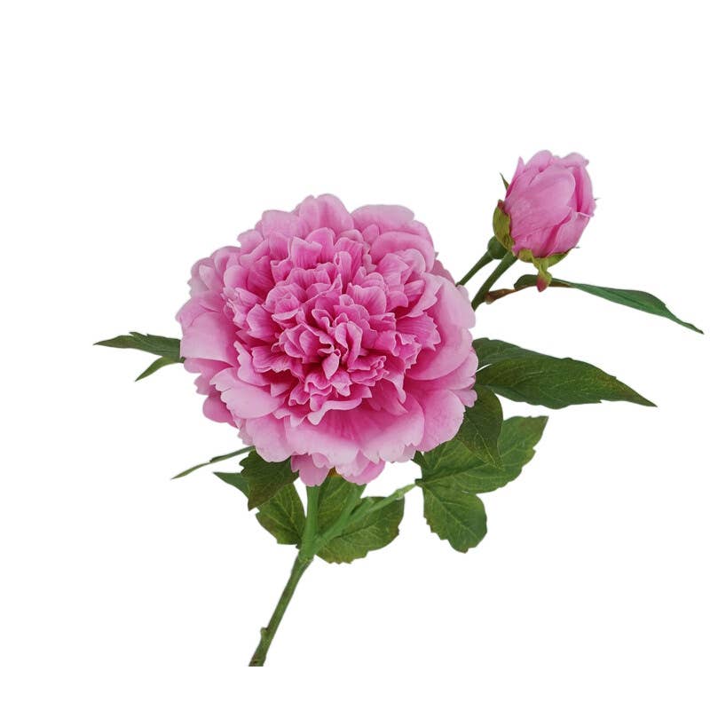 25.5"- Real Touch Peony Stem - 2 Blooms