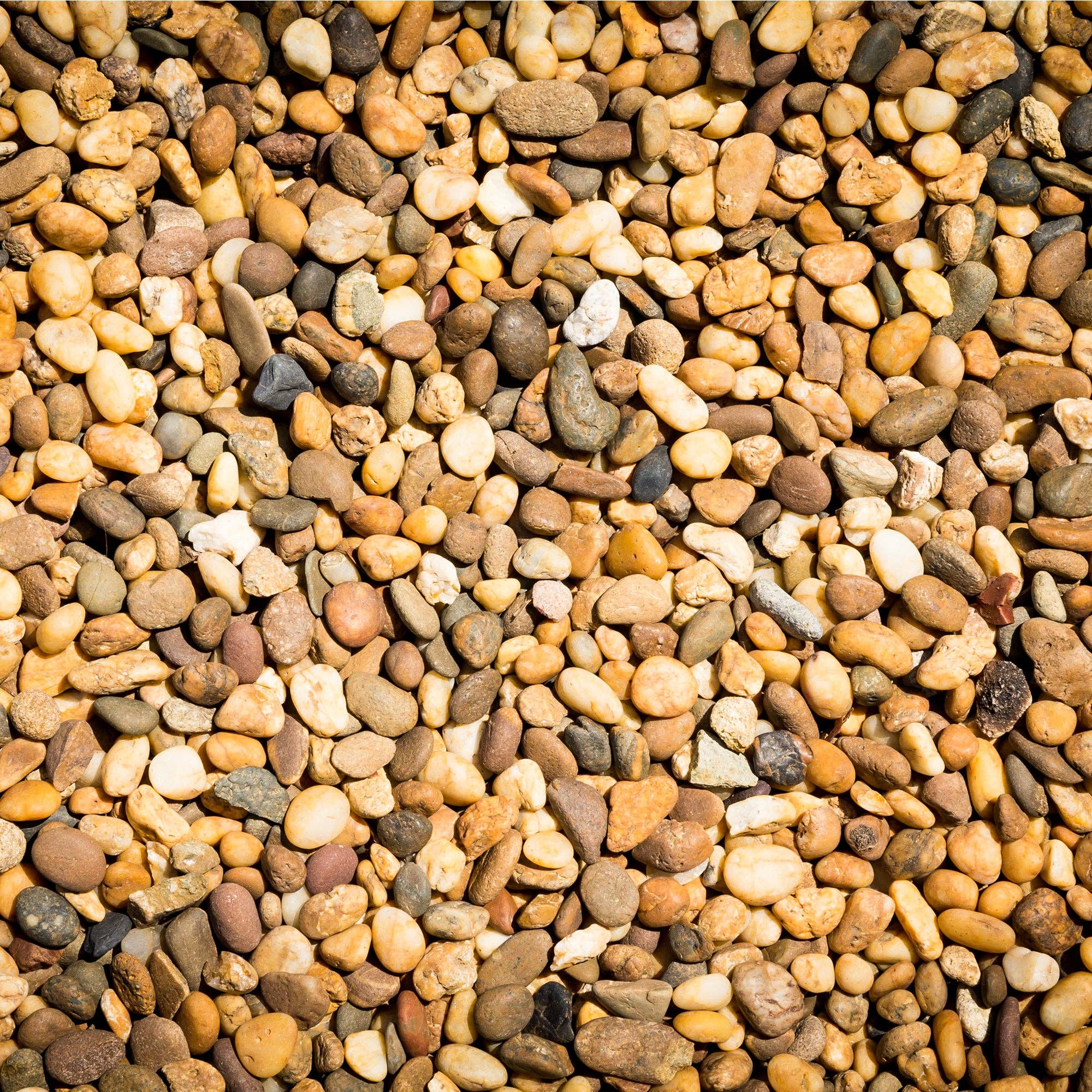 Large River Rocks - 2.2 LB. Bag