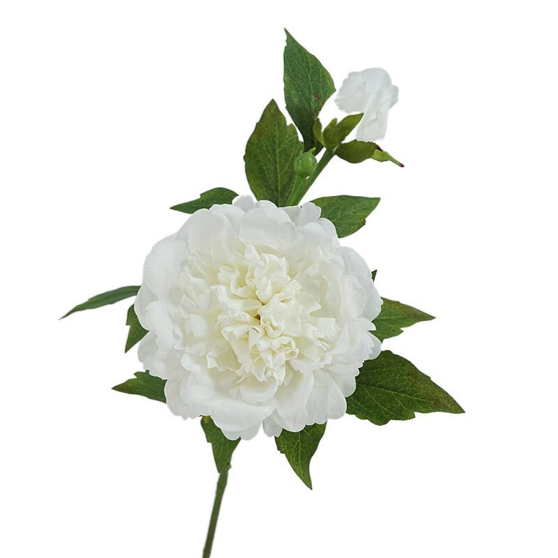 25.5"- Real Touch Peony Stem - 2 Blooms