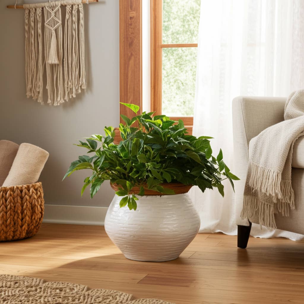 Plant Pot - White/Tan Ceramic Round Tapered Textured, 8 in.