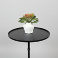 Succulent in Small Deco Pot