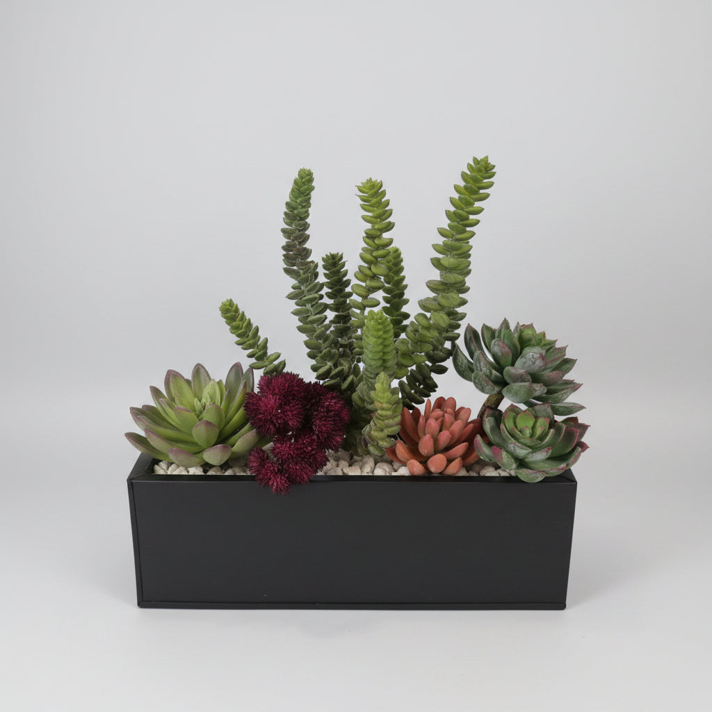 Assorted Succulent Arrangements