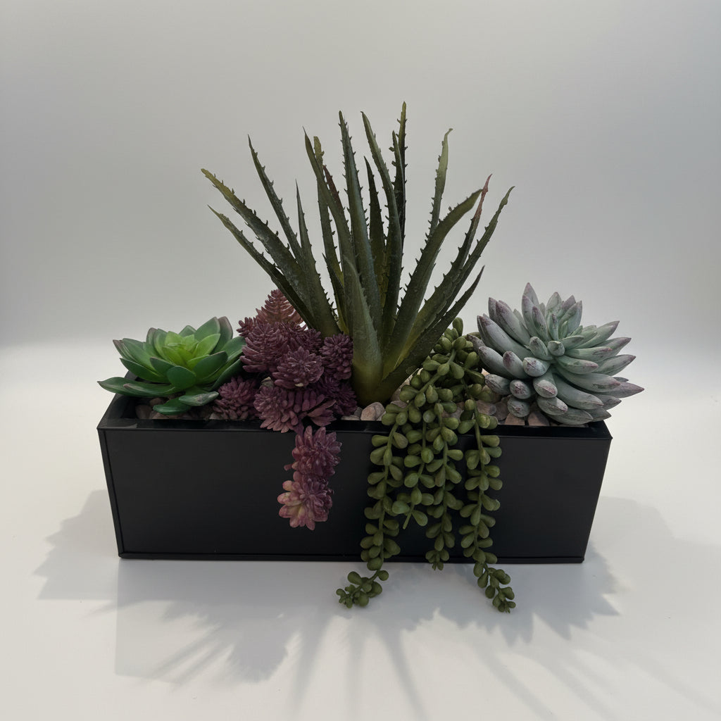 Assorted Succulent Arrangements