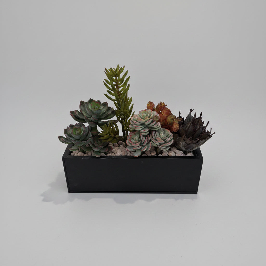 Assorted Succulent Arrangements