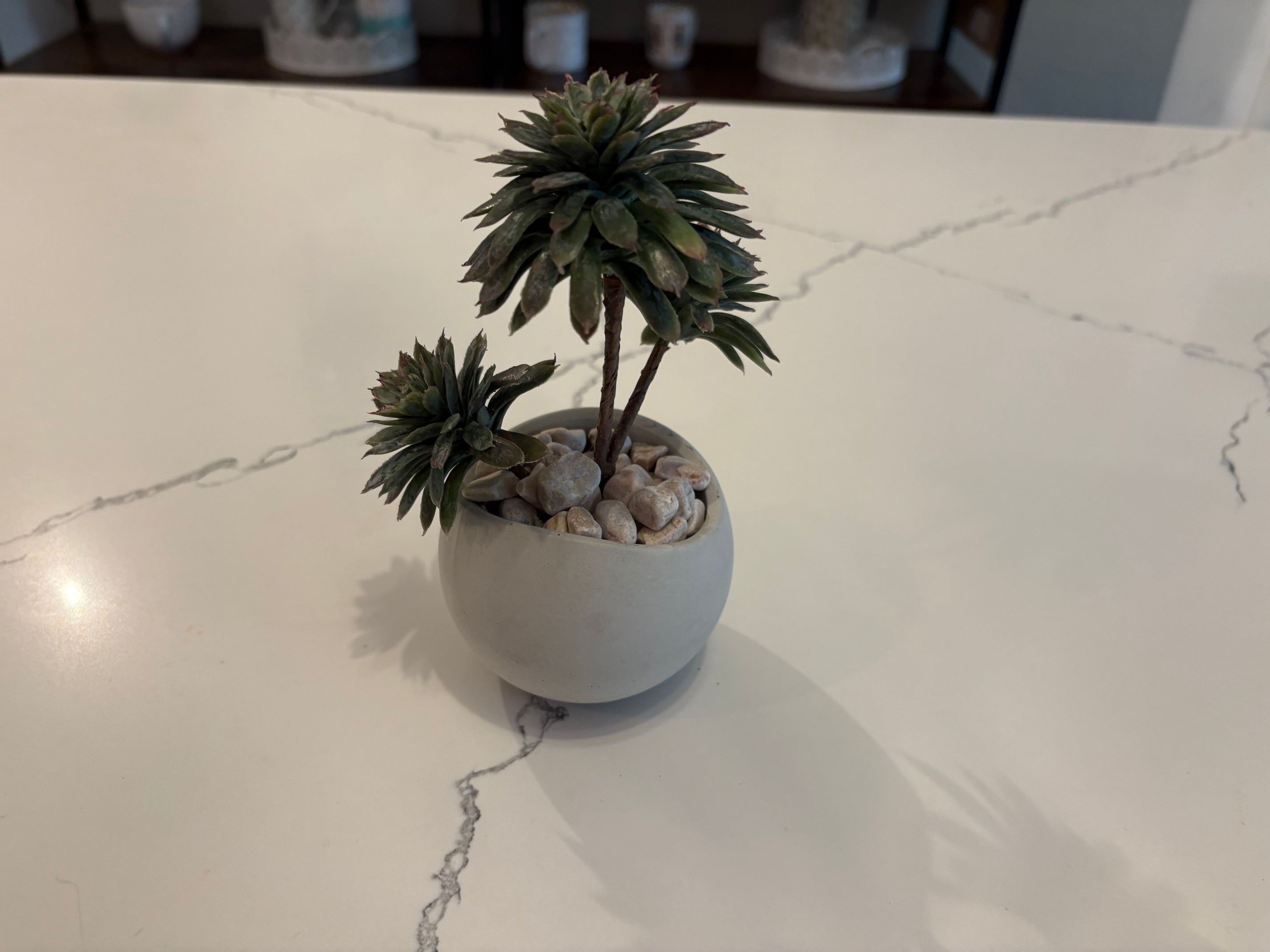 Mini Bowl Succulents