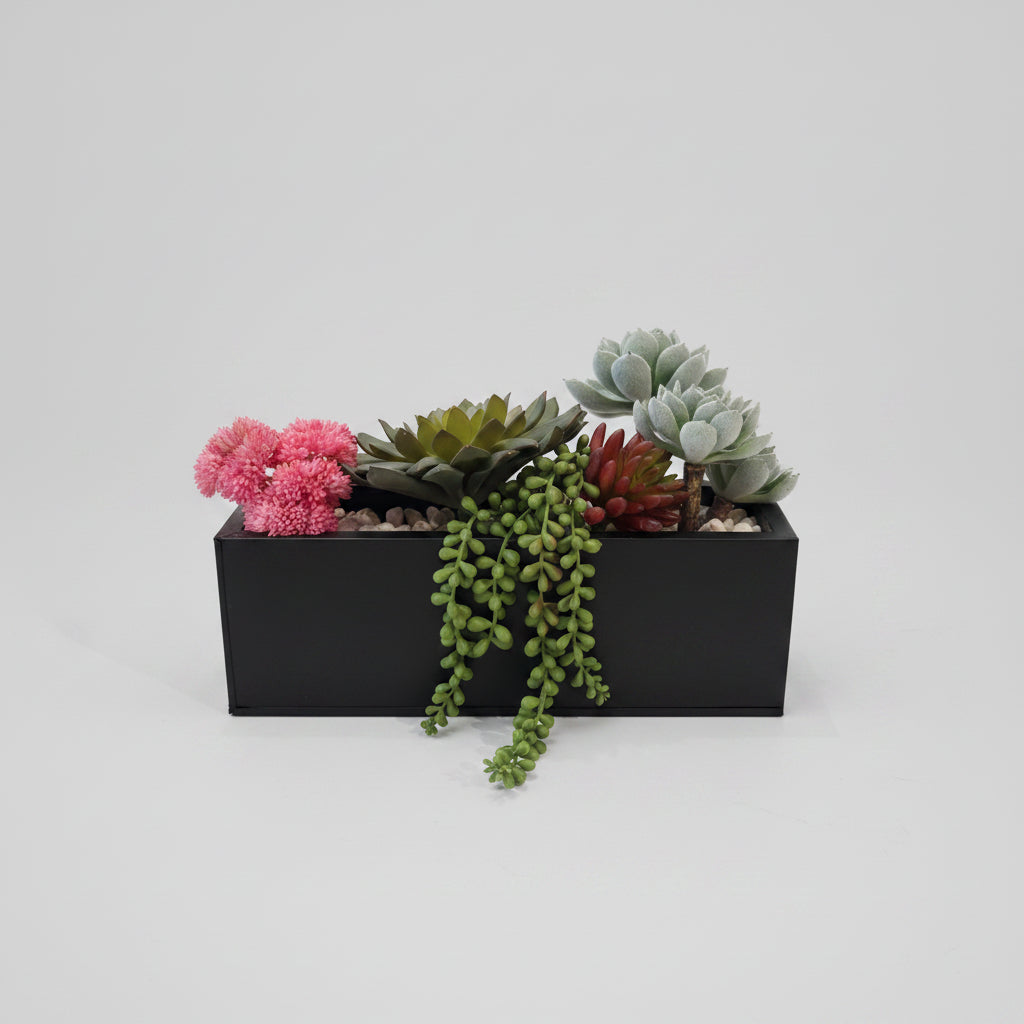 Assorted Succulent Arrangements