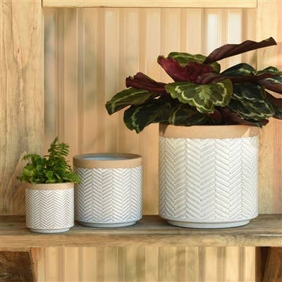Ramos Banded Chevron Cachepot, Stoneware