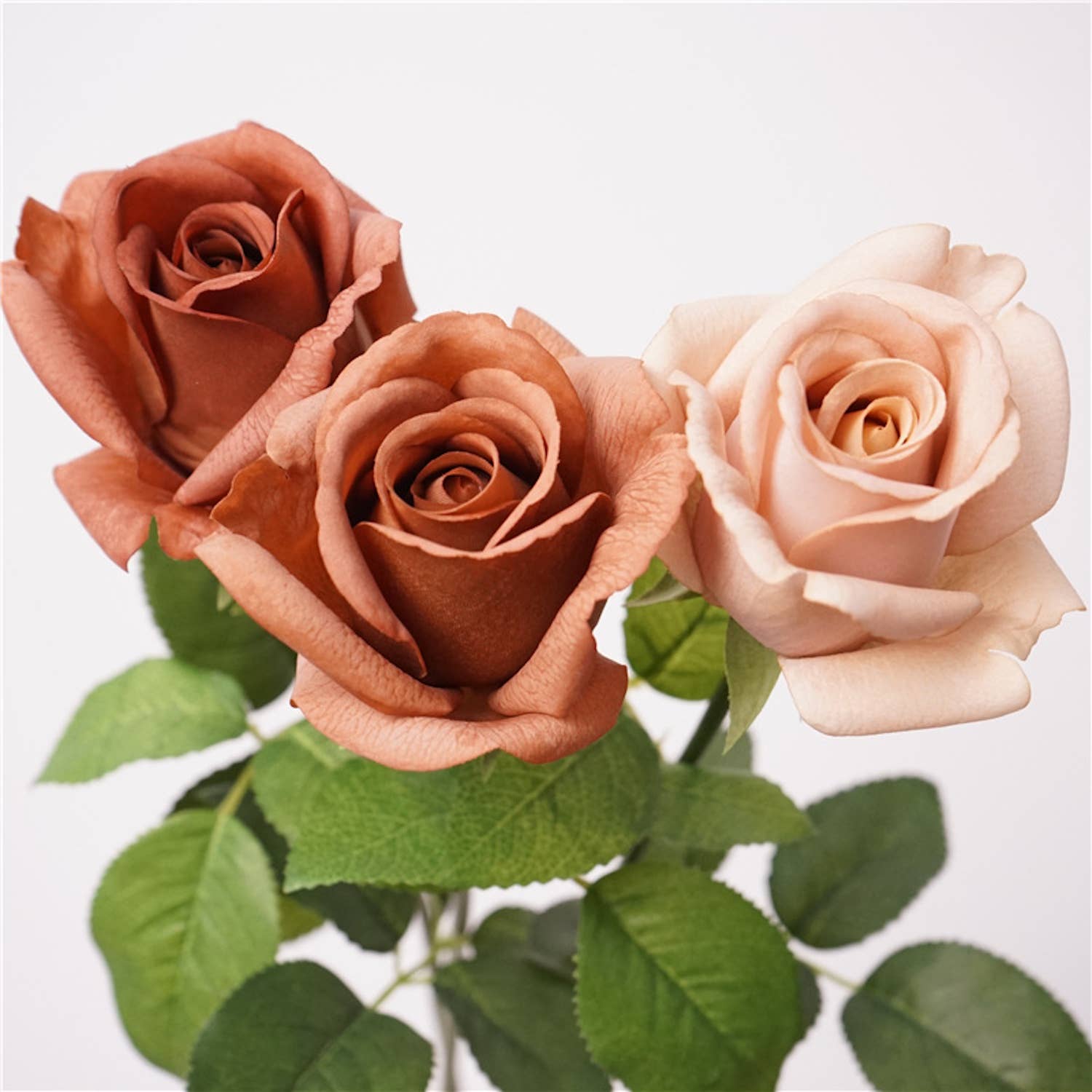 21.5" Ultra Realistic Faux Rose Stem – Moisturizing Coating