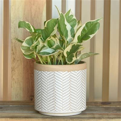 Ramos Banded Chevron Cachepot, Stoneware