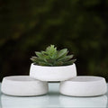 Succulent Pot Planter