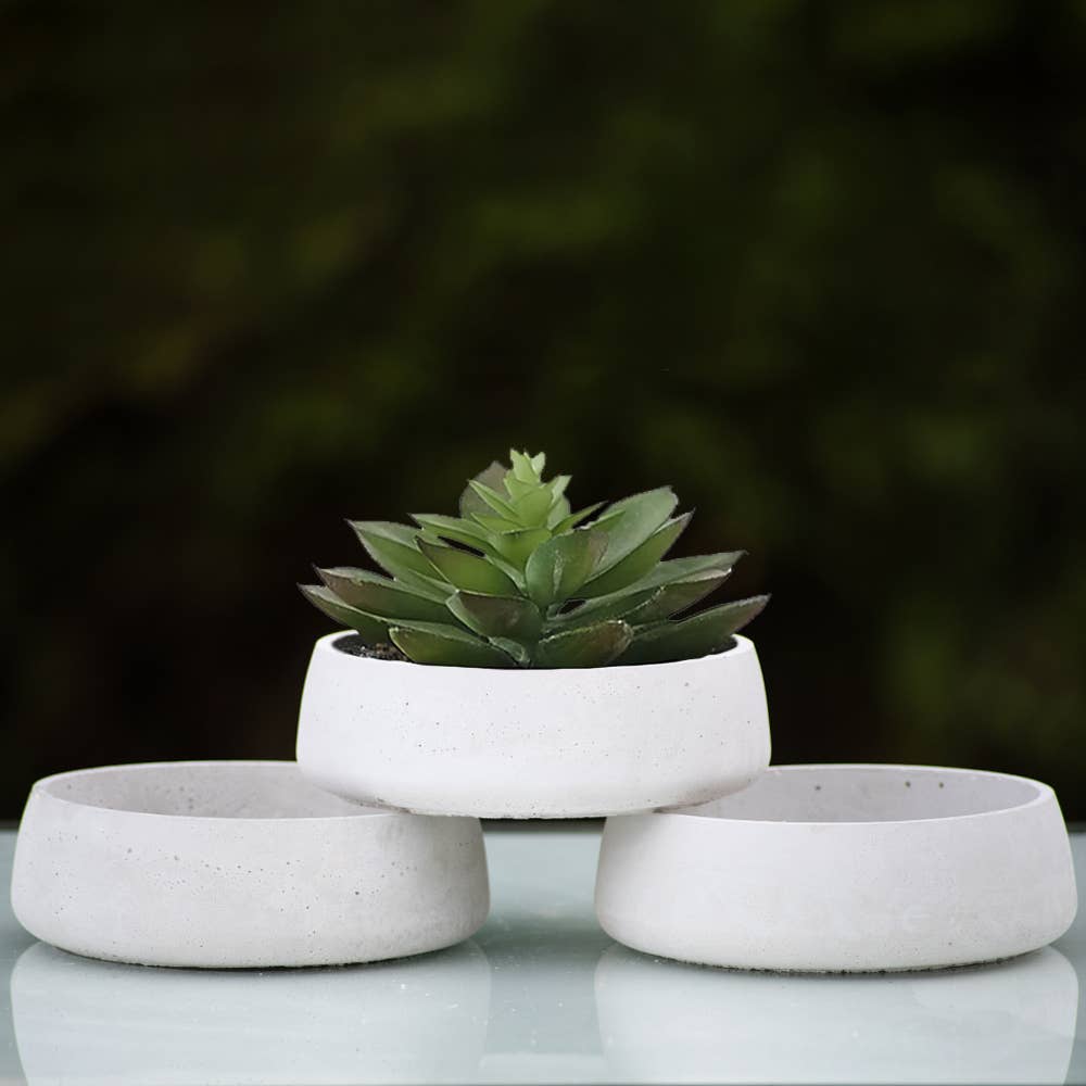 Succulent Pot Planter