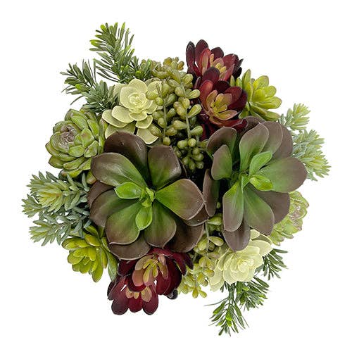 Faux Succulent Arrangement, Potted, Round Pot, White, 12 in