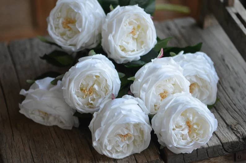 17" or 24"Premium Real touch English Austin Cabbage Rose Stem