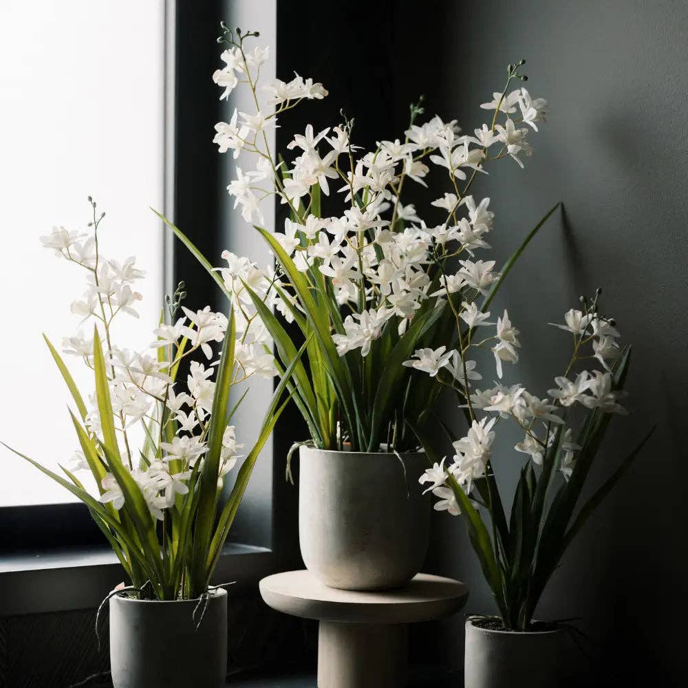 Faux Orchid Vanda Arrangement, Potted, White, 20.5 in