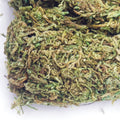 Artificial Green Moss & Moss Stones – 2 Styles