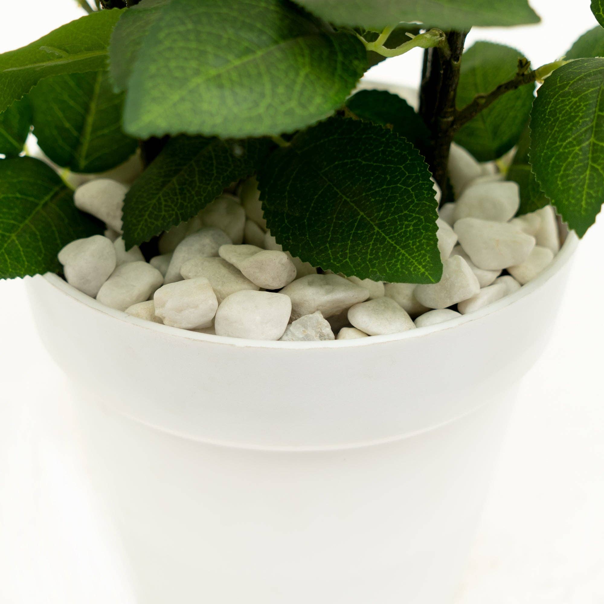 White Pebbles - 2.2 LB. Bag