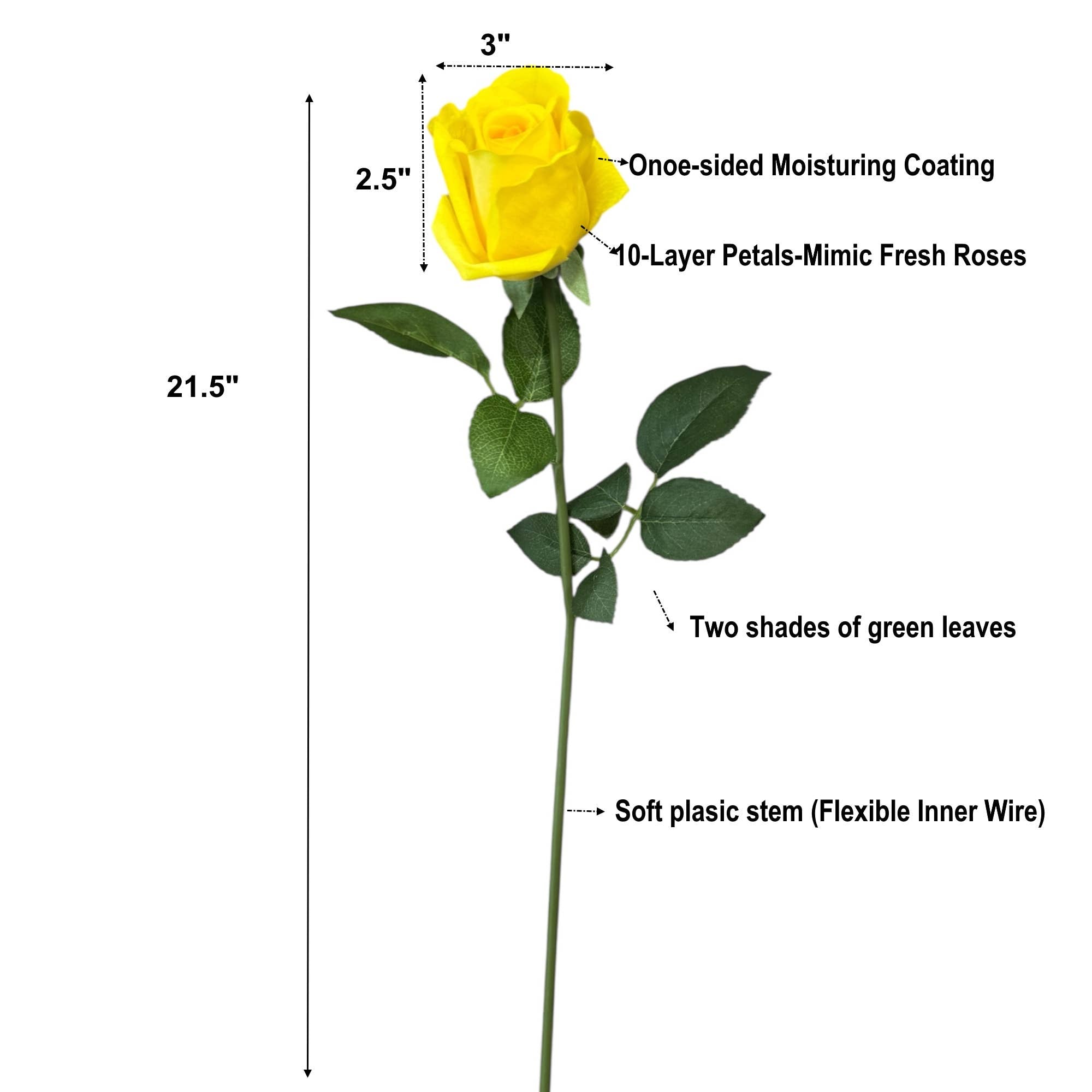 21.5" Ultra Realistic Faux Rose Stem – Moisturizing Coating